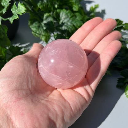 Star Rose Quartz Sphere - Large 53mm