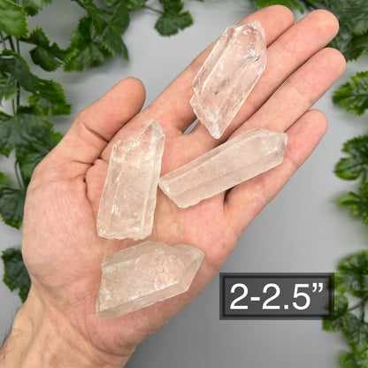 Raw Clear Quartz Point: Size Options 0.5" - 3" - Natural Clear Quartz Crystal Point