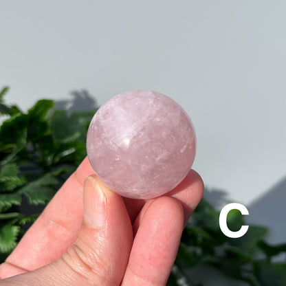 Star Rose Quartz Sphere - YOU PICK - 36-37mm