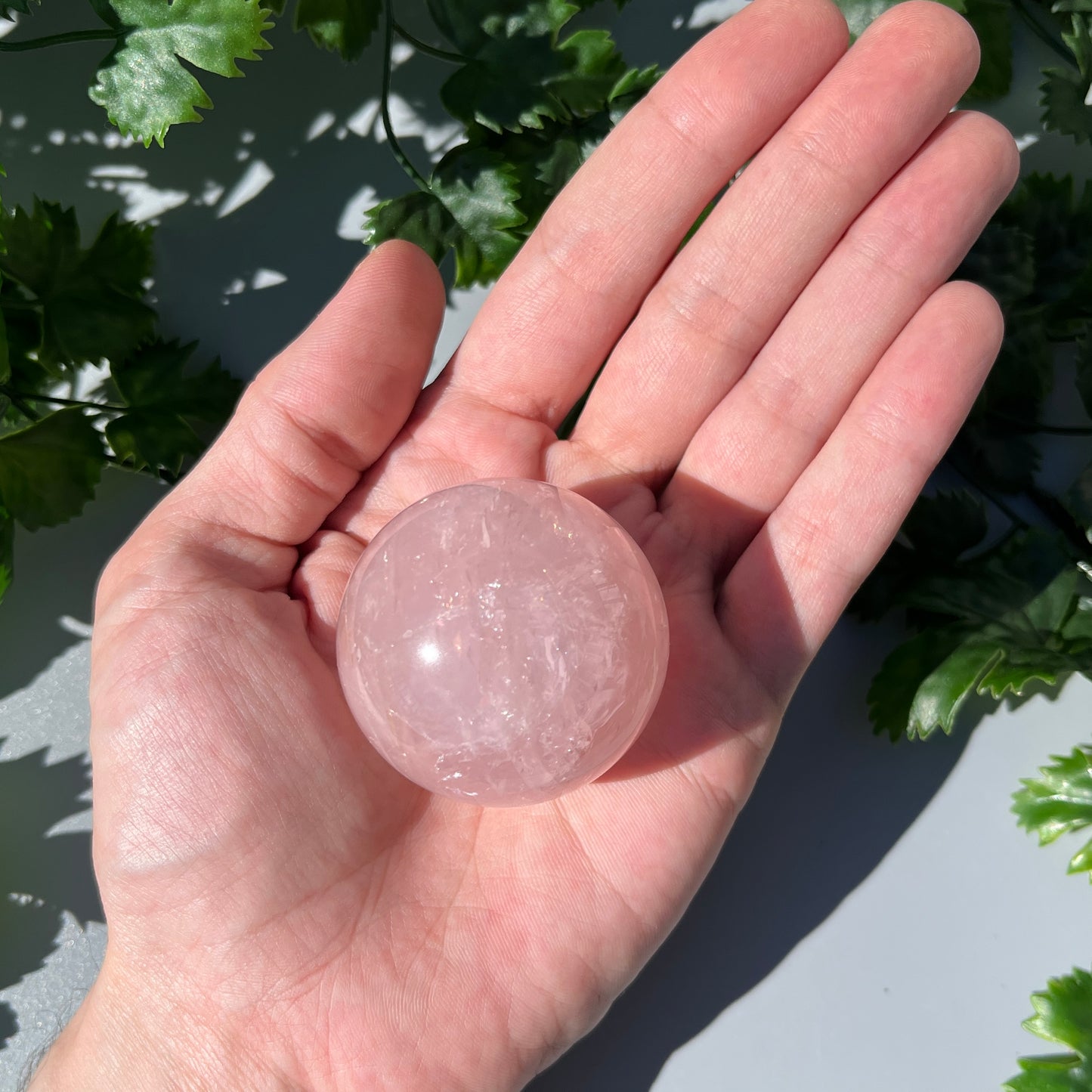 Star Rose Quartz Sphere - Large 48mm