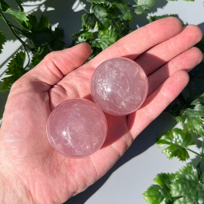 Star Rose Quartz Sphere - YOU PICK - 45-46mm