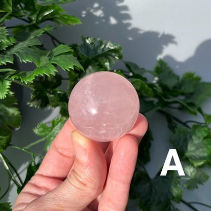 Star Rose Quartz Sphere - YOU PICK - 42mm