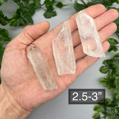 Raw Clear Quartz Point: Size Options 0.5" - 3" - Natural Clear Quartz Crystal Point