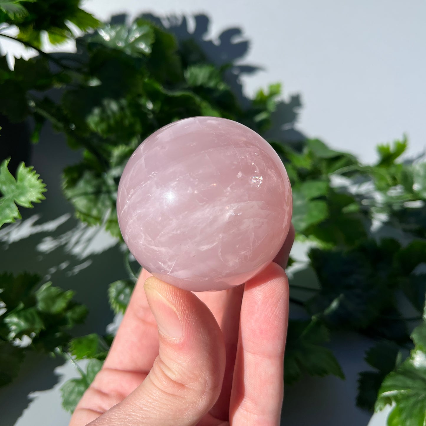 Star Rose Quartz Sphere - Large 53mm