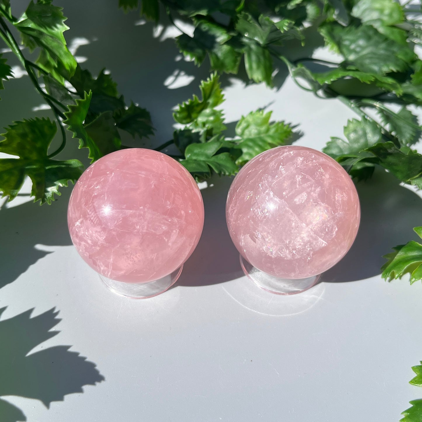 Star Rose Quartz Sphere - YOU PICK - 45-46mm