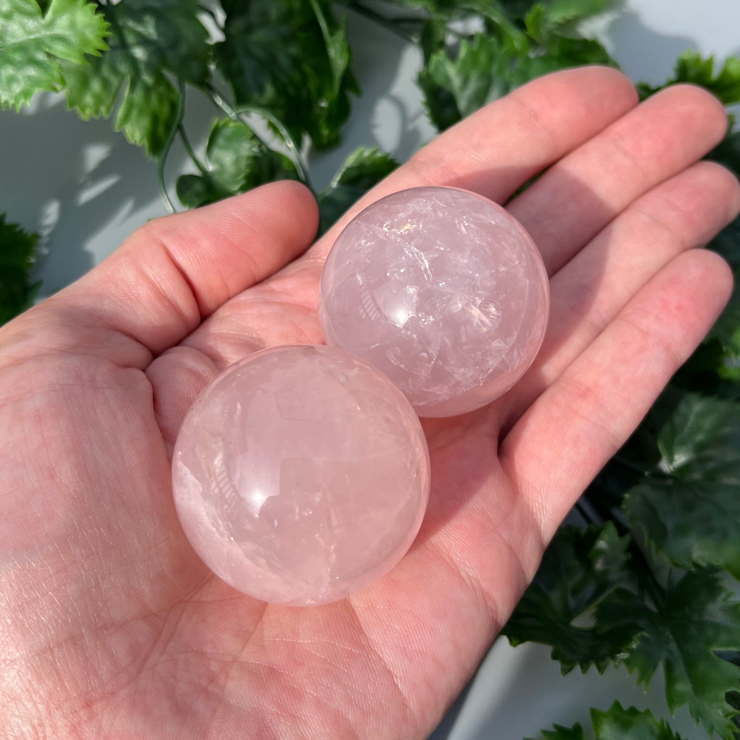 Star Rose Quartz Sphere - YOU PICK - 42mm