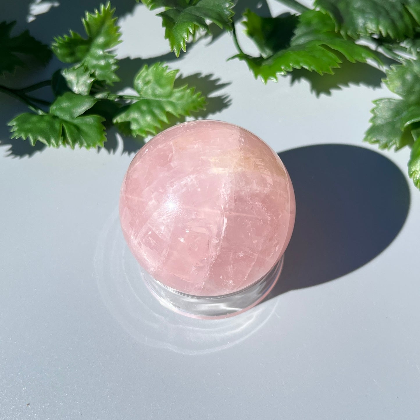 Star Rose Quartz Sphere - Large 48mm