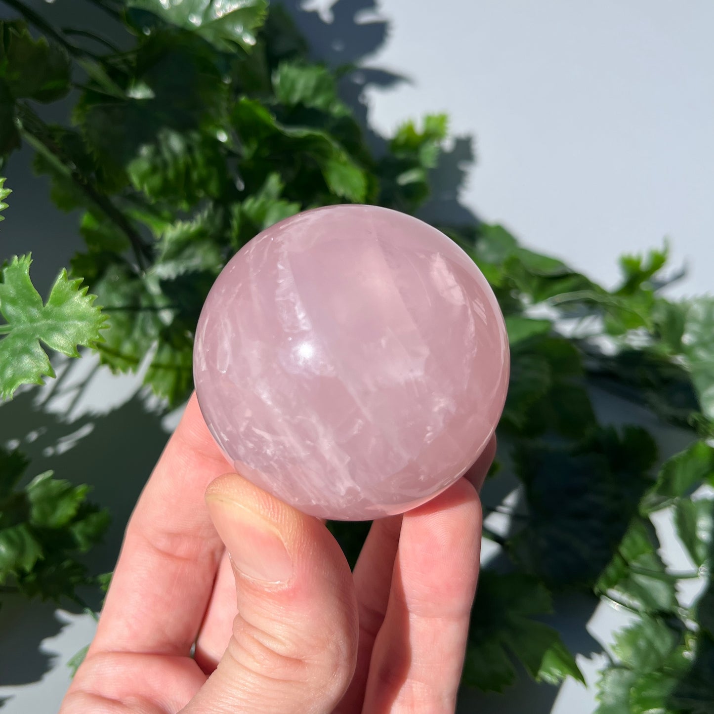 Star Rose Quartz Sphere - Large 53mm