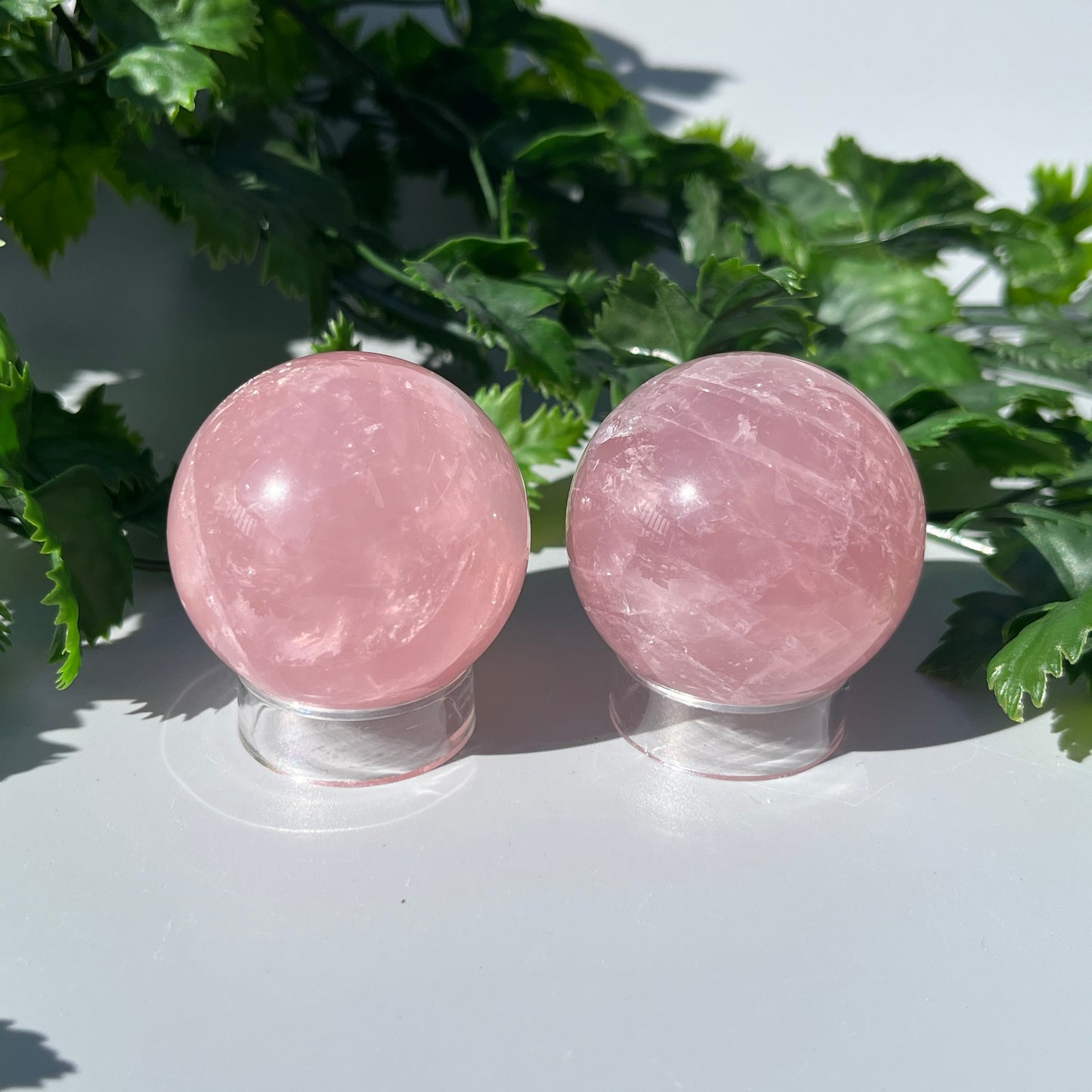 Star Rose Quartz Sphere - YOU PICK - 45-46mm