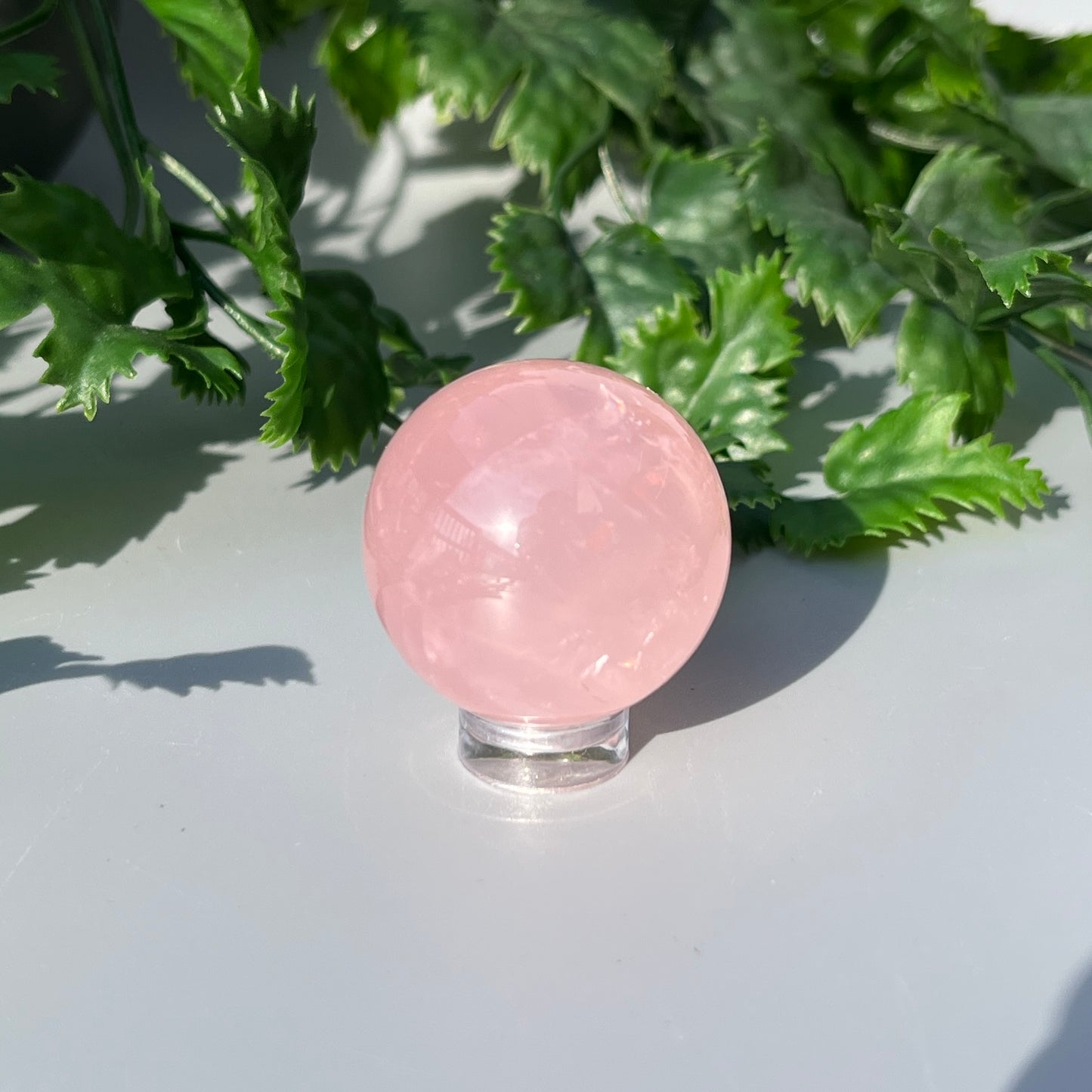 Star Rose Quartz Sphere - Small 33mm