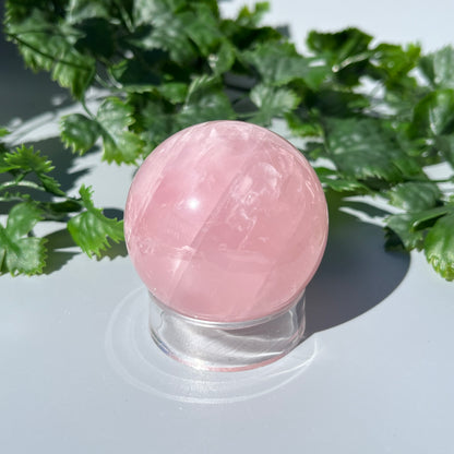 Star Rose Quartz Sphere - Large 53mm