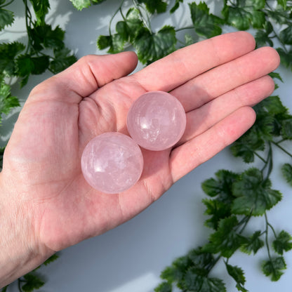 Star Rose Quartz Sphere - YOU PICK - 36-37mm