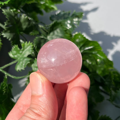 Star Rose Quartz Sphere - Small 33mm