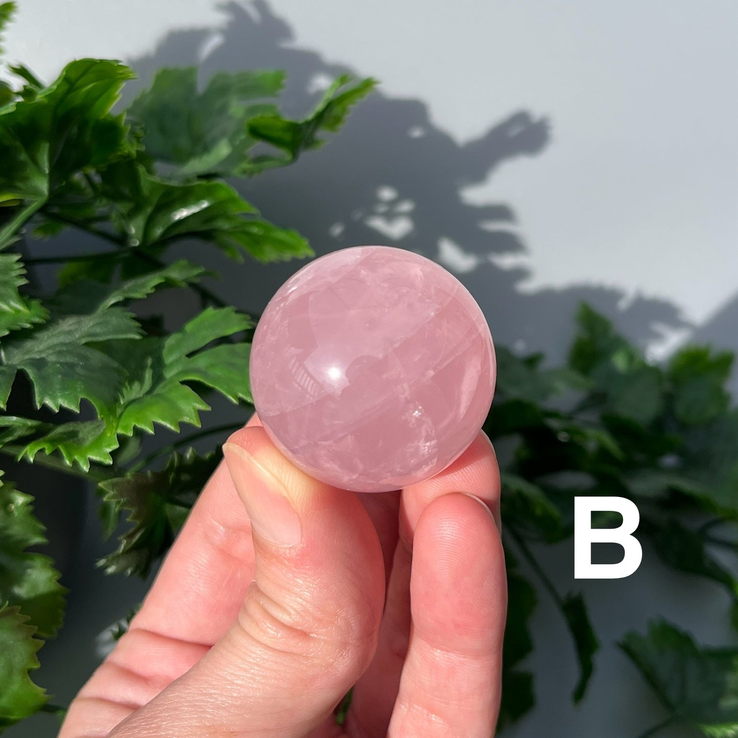 Star Rose Quartz Sphere - YOU PICK - 36-37mm