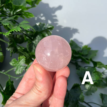 Star Rose Quartz Sphere - YOU PICK - 42mm