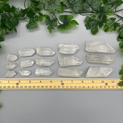 Raw Clear Quartz Point: Size Options 0.5" - 3" - Natural Clear Quartz Crystal Point