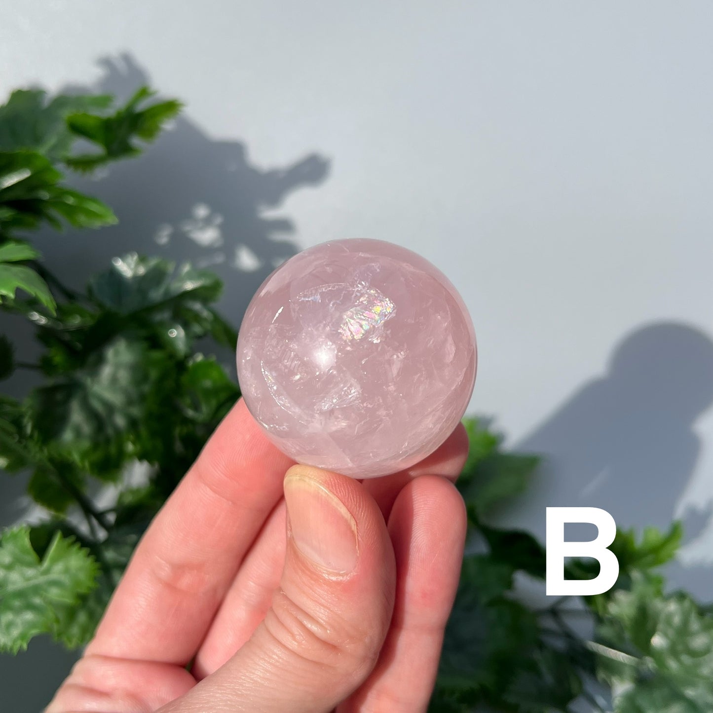 Star Rose Quartz Sphere - YOU PICK - 42mm