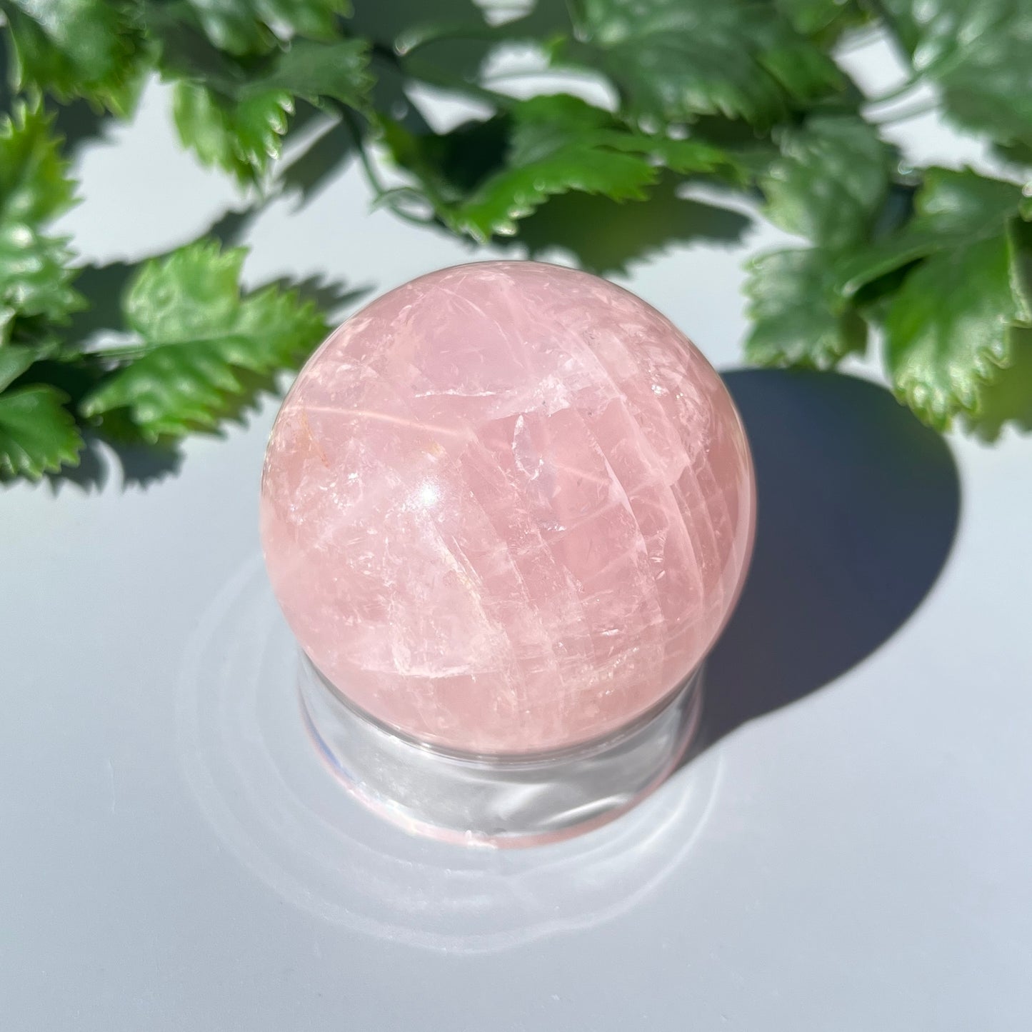 Star Rose Quartz Sphere - Large 48mm