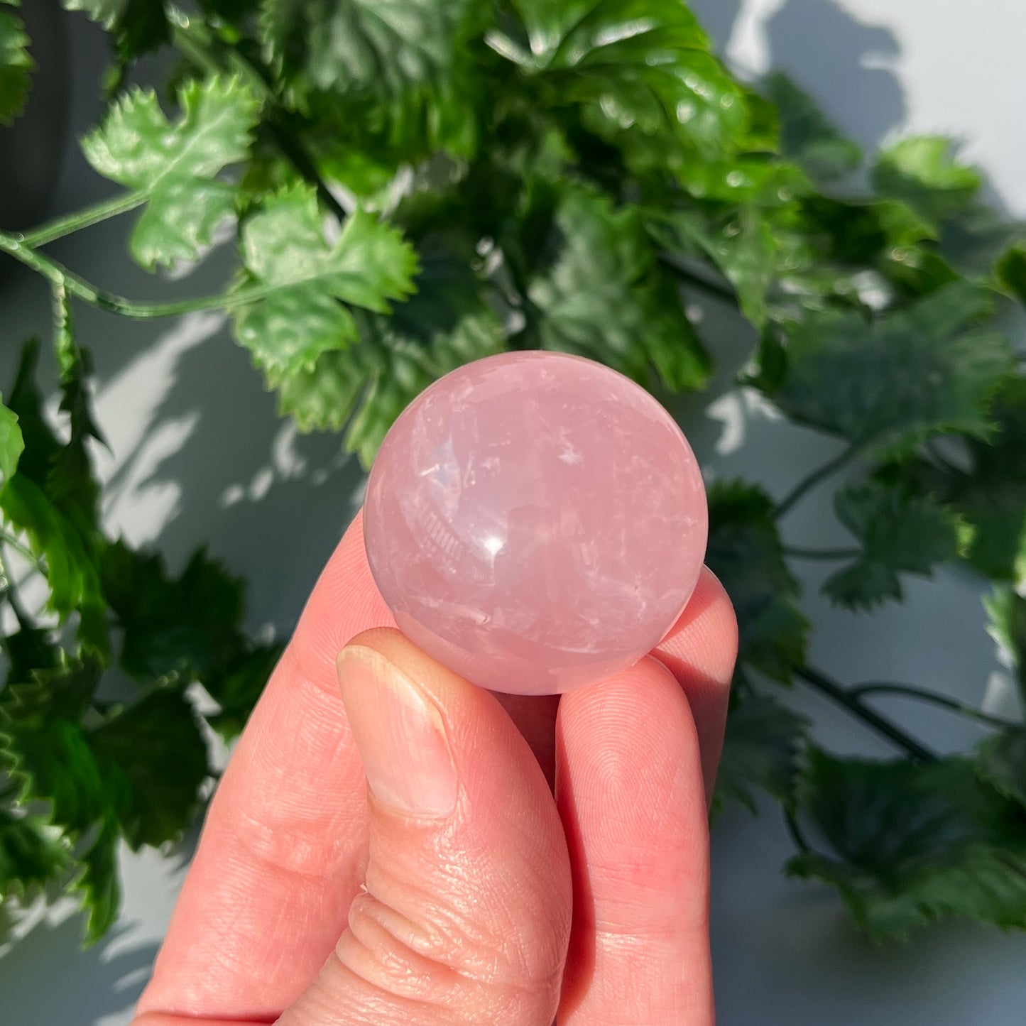 Star Rose Quartz Sphere - Small 33mm