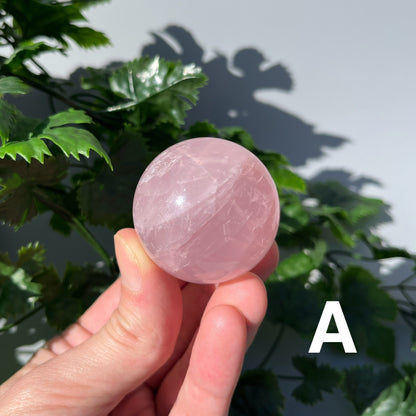 Star Rose Quartz Sphere - YOU PICK - 43-44mm