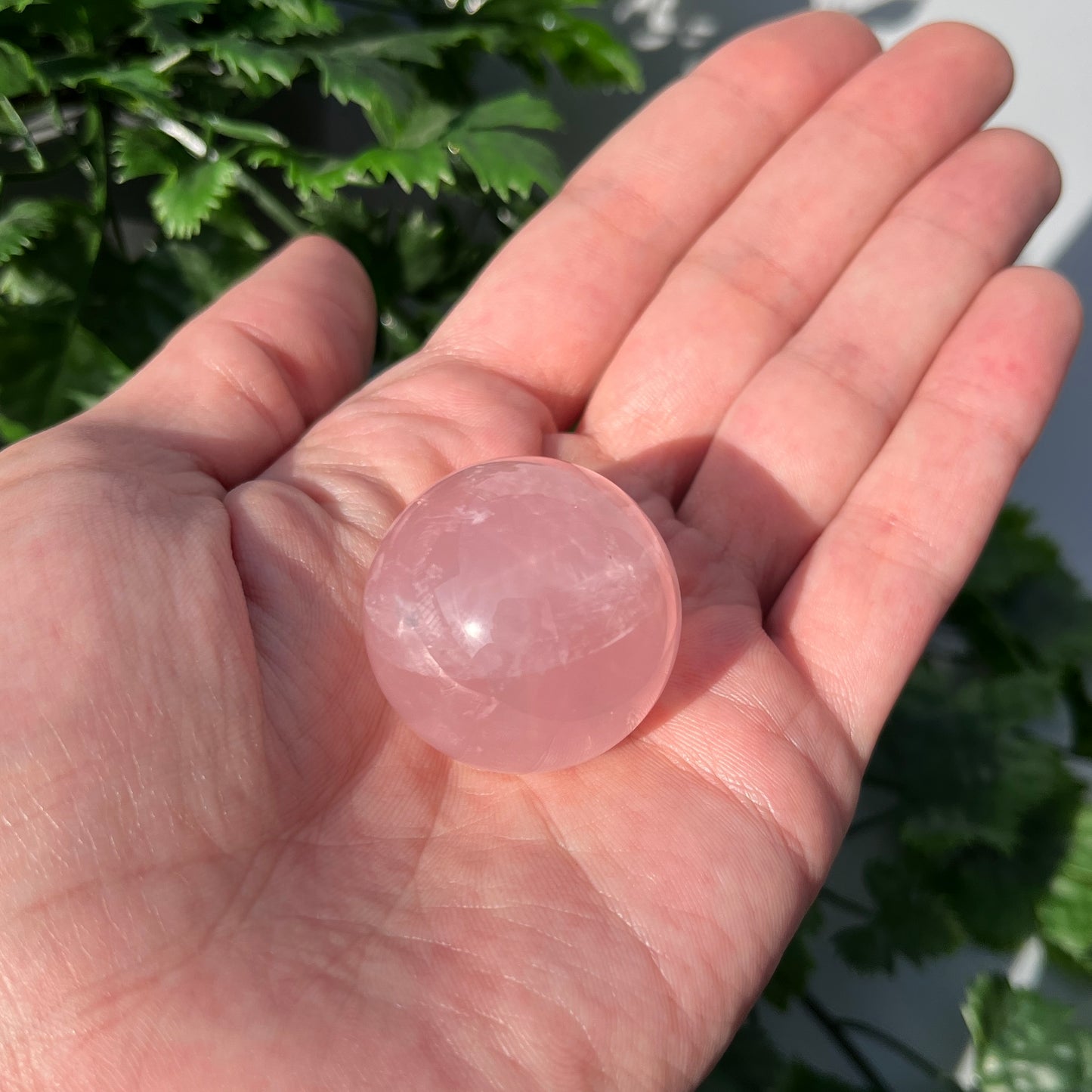 Star Rose Quartz Sphere - Small 33mm