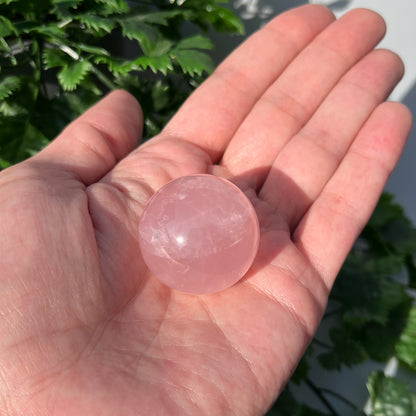 Star Rose Quartz Sphere - Small 33mm