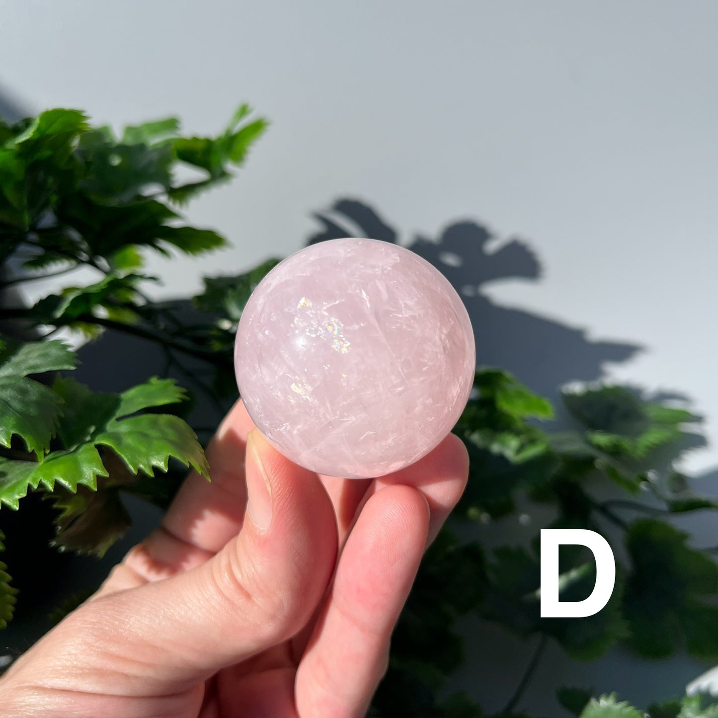 Star Rose Quartz Sphere - YOU PICK - 43-44mm