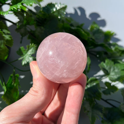 Star Rose Quartz Sphere - Large 48mm