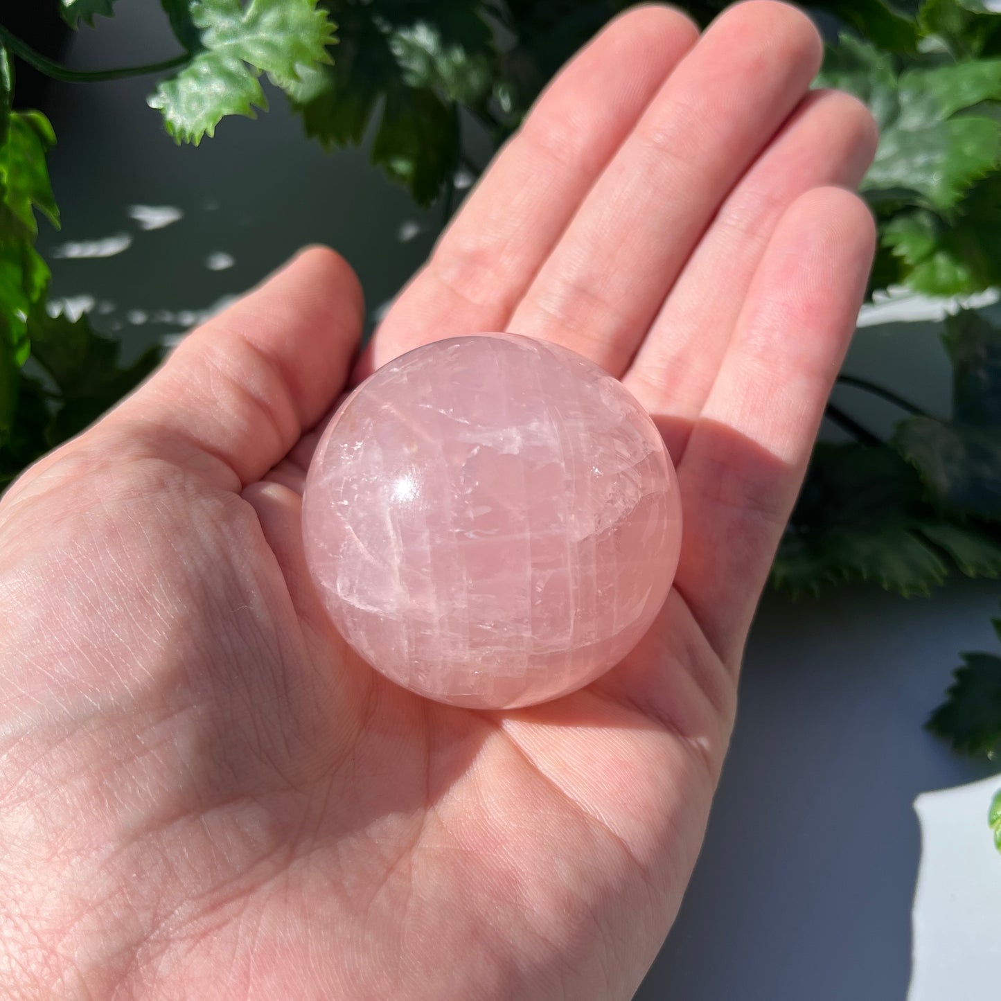 Star Rose Quartz Sphere - Large 48mm