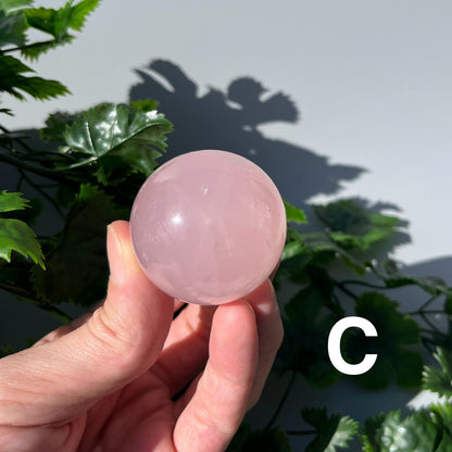 Star Rose Quartz Sphere - YOU PICK - 43-44mm