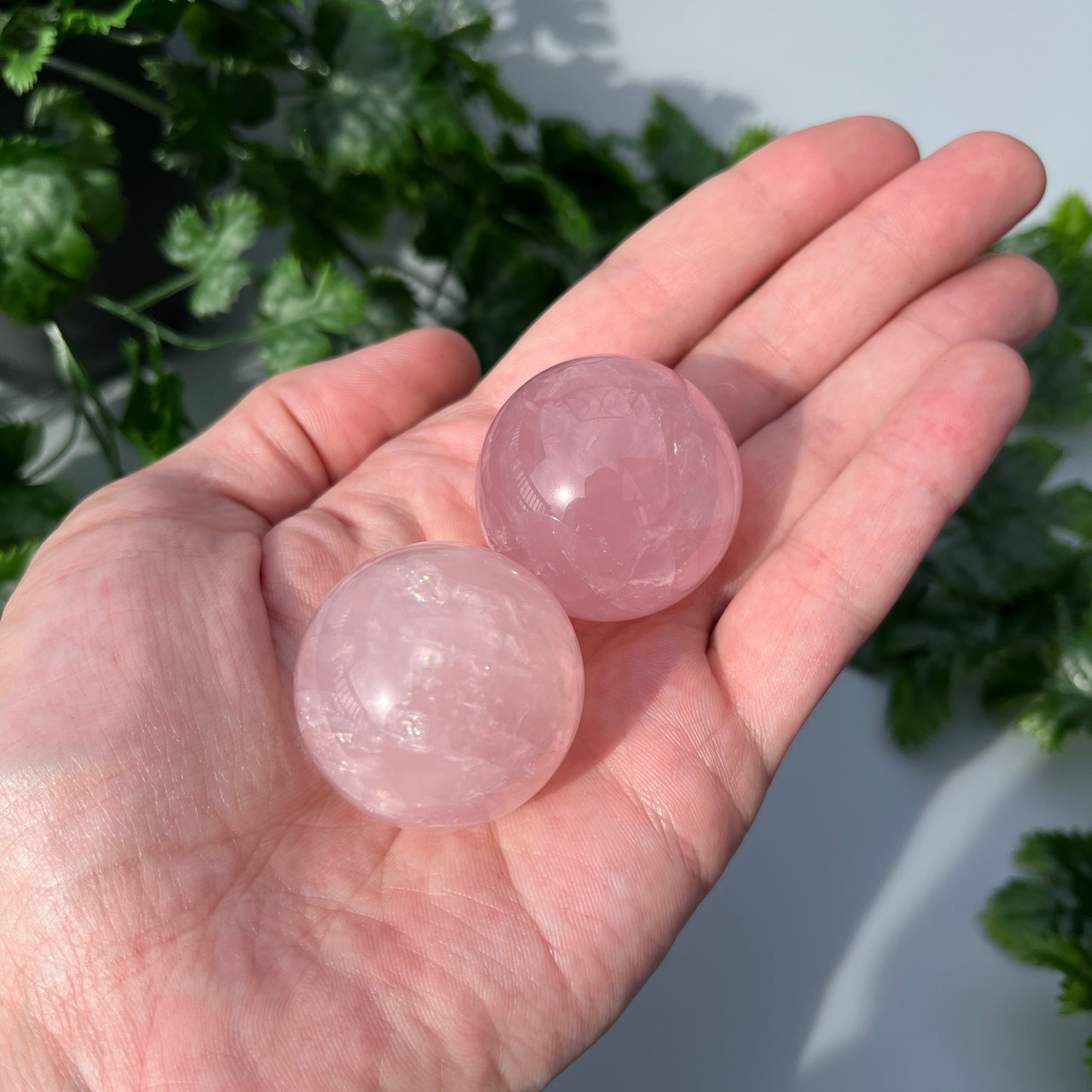 Star Rose Quartz Sphere - YOU PICK - 36-37mm