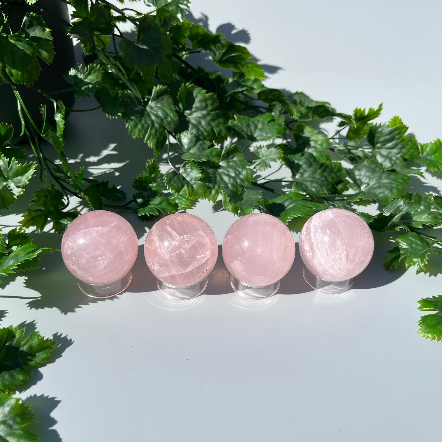 Star Rose Quartz Sphere - YOU PICK - 43-44mm