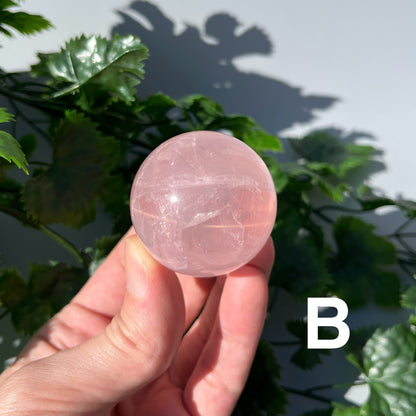 Star Rose Quartz Sphere - YOU PICK - 43-44mm