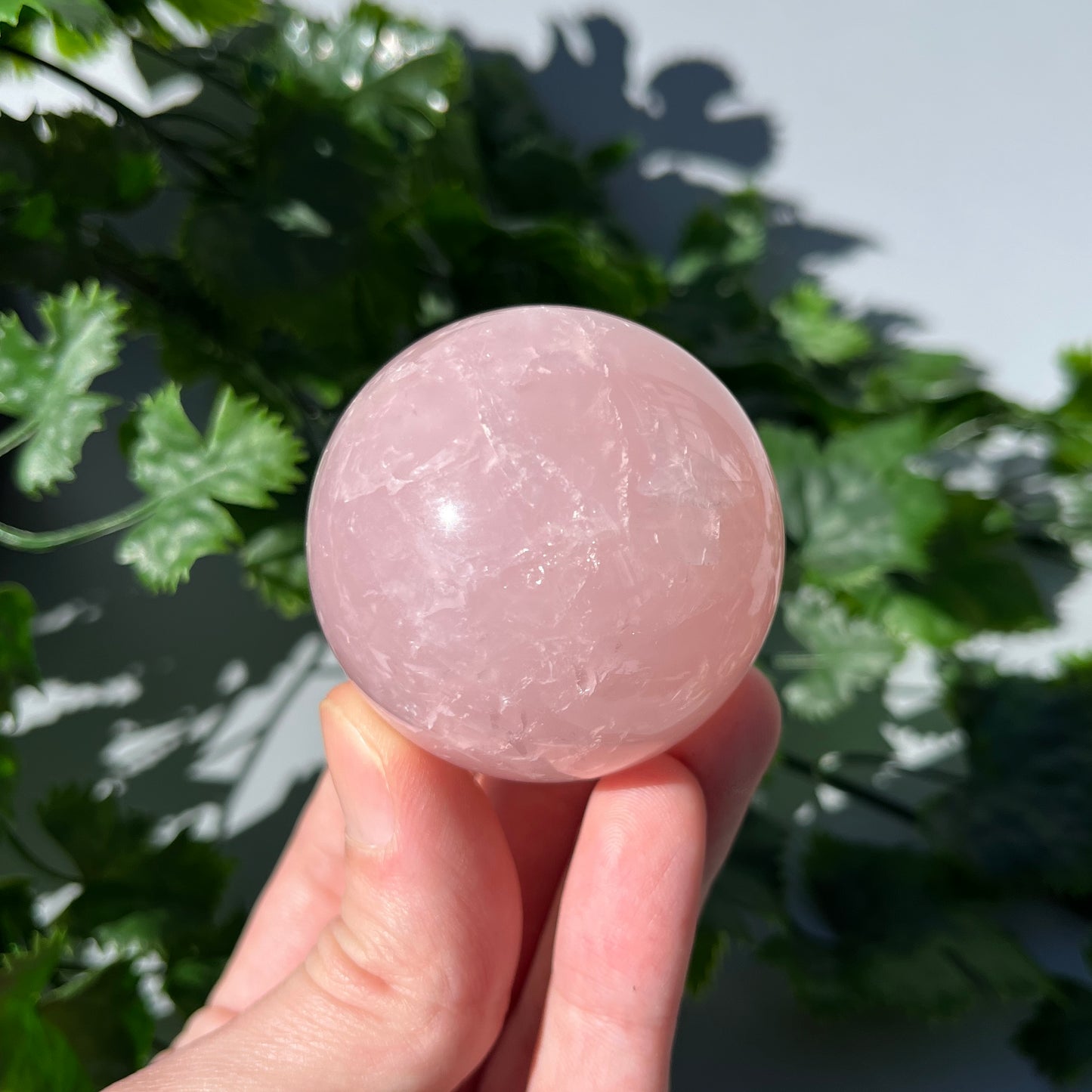 Rose Quartz Sphere - Large 50mm