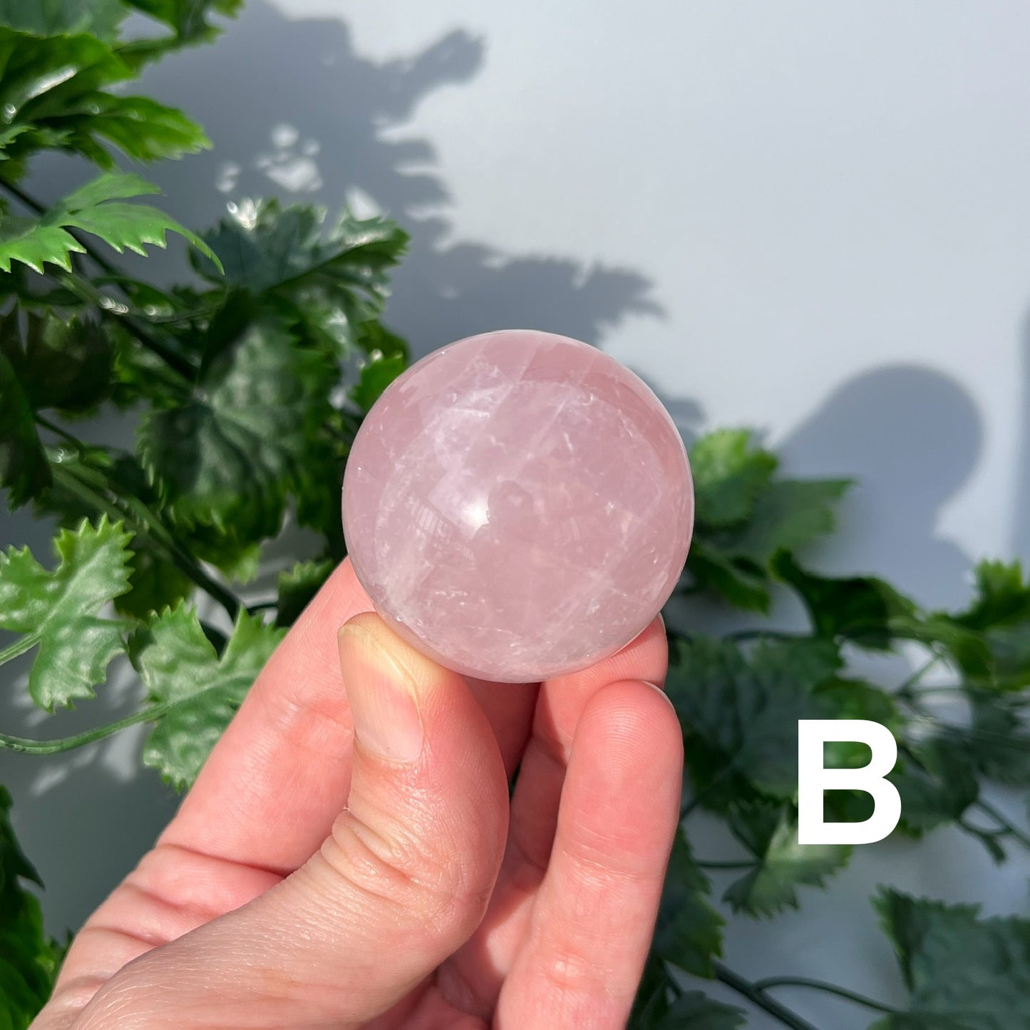 Star Rose Quartz Sphere - YOU PICK - 42mm