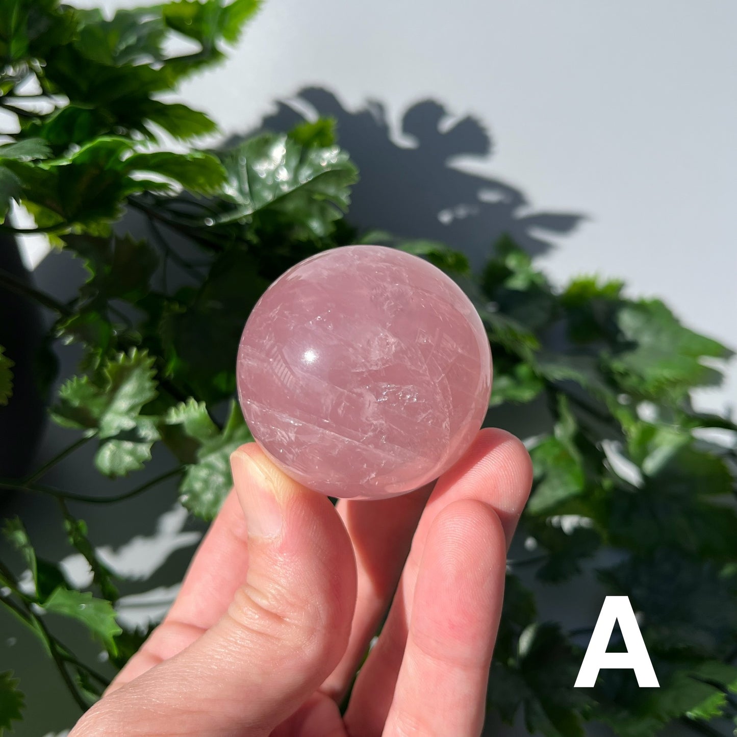 Star Rose Quartz Sphere - YOU PICK - 45-46mm