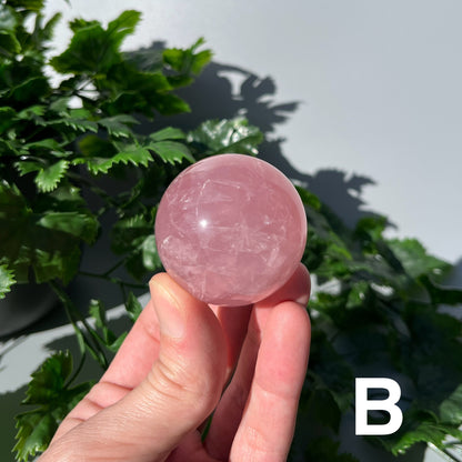 Star Rose Quartz Sphere - YOU PICK - 45-46mm