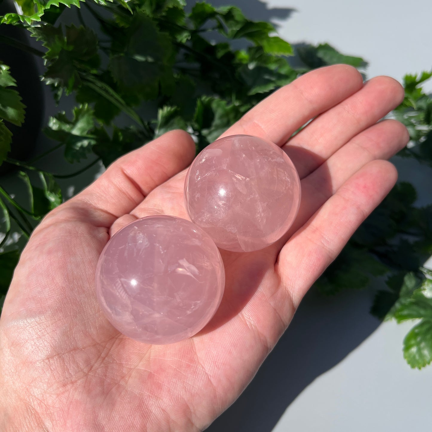 Star Rose Quartz Sphere - YOU PICK - 43-44mm