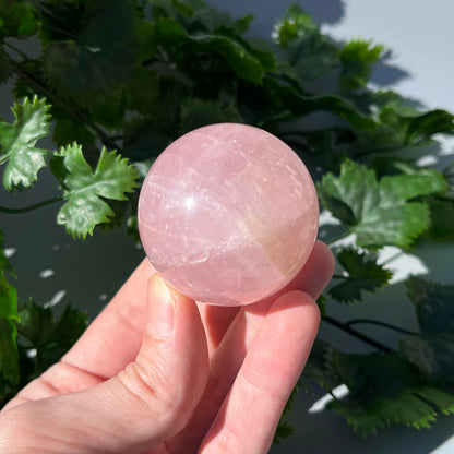 Star Rose Quartz Sphere - Large 48mm