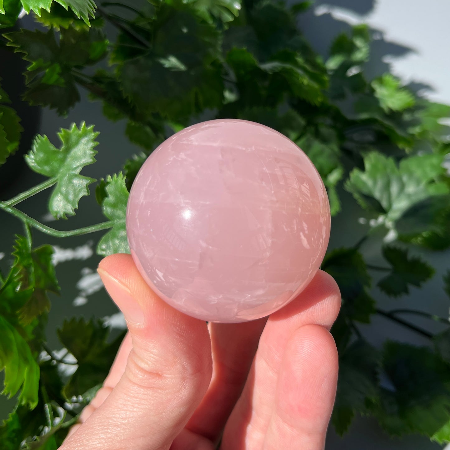 Rose Quartz Sphere - Large 50mm