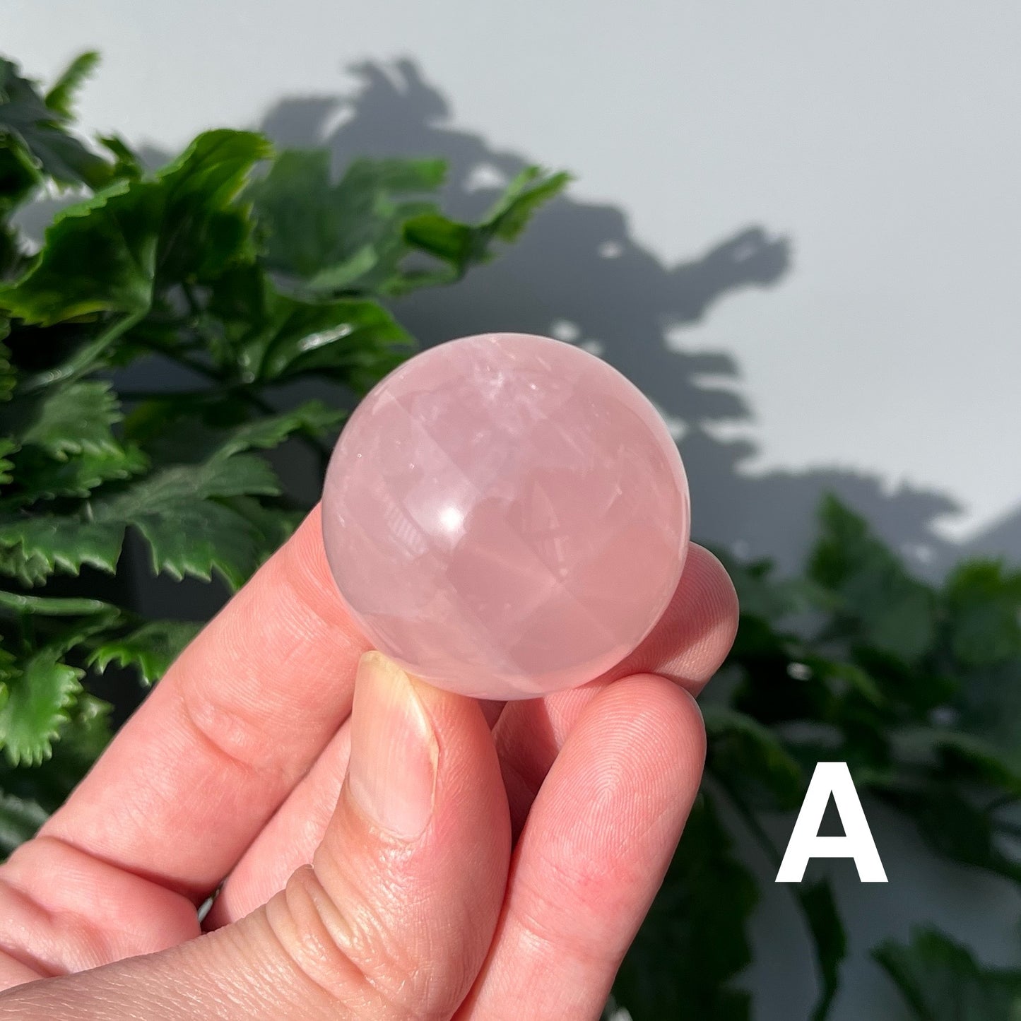 Star Rose Quartz Sphere - YOU PICK - 36-37mm