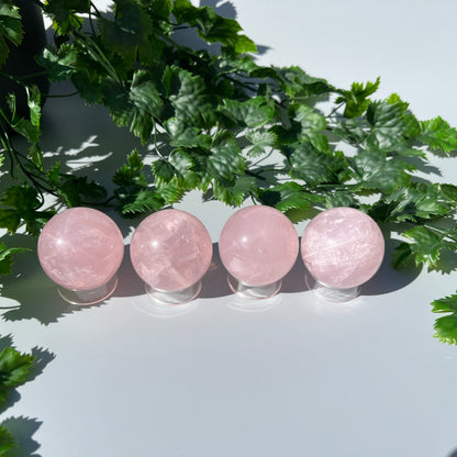 Star Rose Quartz Sphere - YOU PICK - 43-44mm