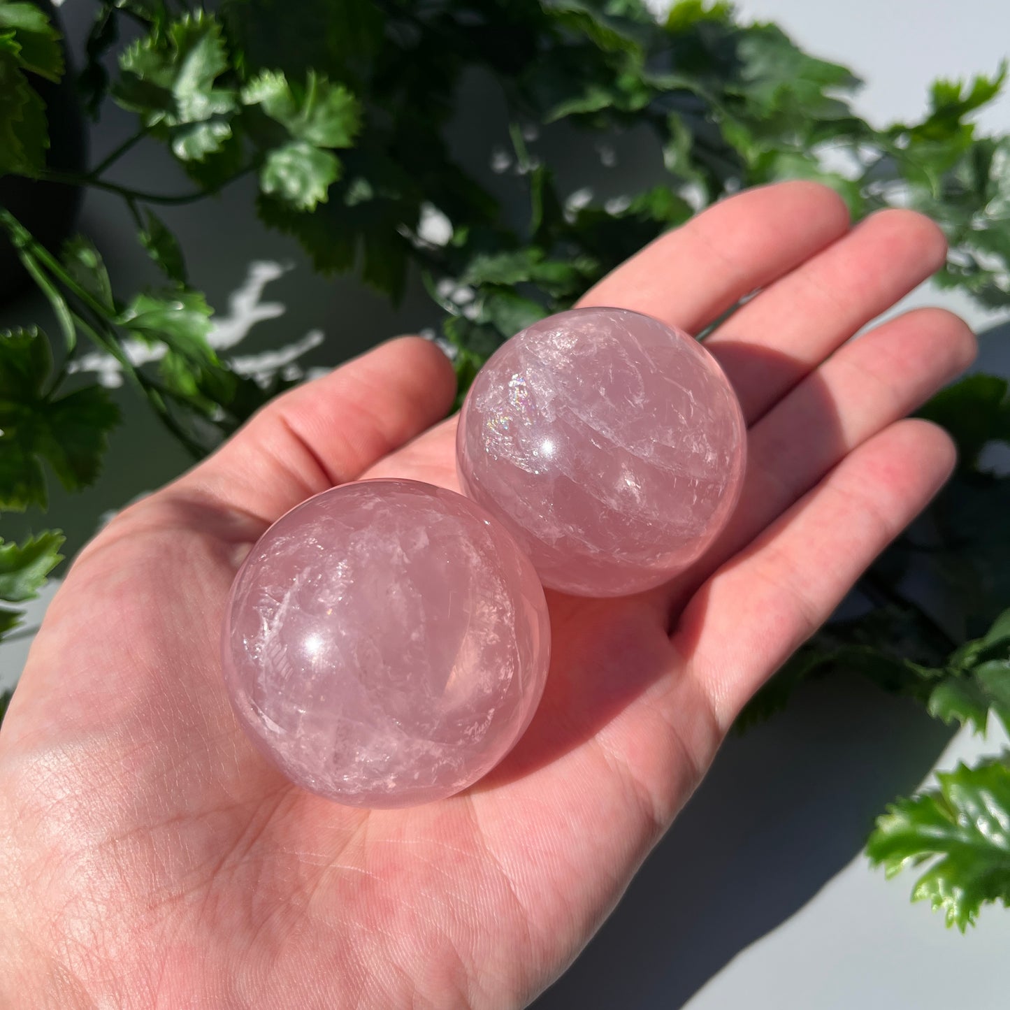 Star Rose Quartz Sphere - YOU PICK - 45-46mm