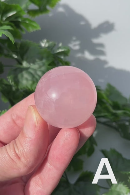 Star Rose Quartz Sphere - YOU PICK - 36-37mm