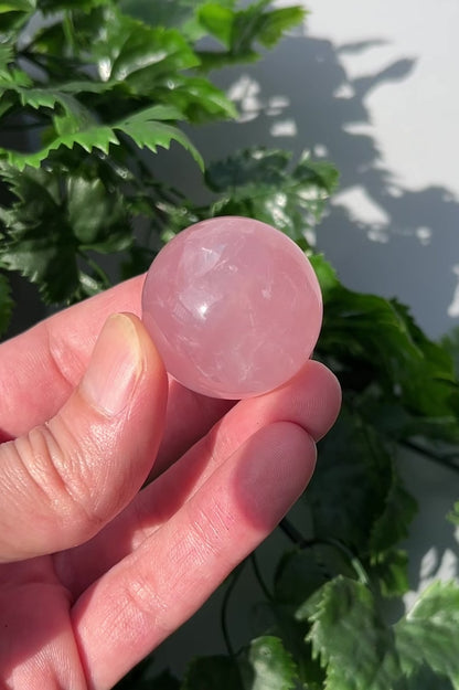 Star Rose Quartz Sphere - Small 33mm