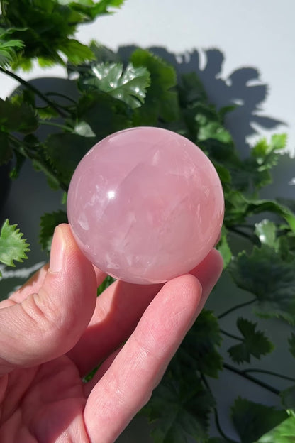 Star Rose Quartz Sphere - Large 53mm