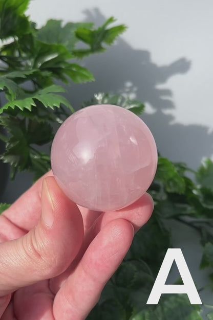 Star Rose Quartz Sphere - YOU PICK - 42mm