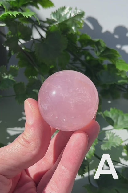 Star Rose Quartz Sphere - YOU PICK - 43-44mm