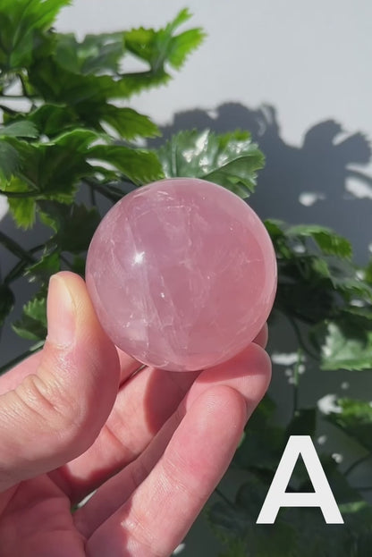 Star Rose Quartz Sphere - YOU PICK - 45-46mm