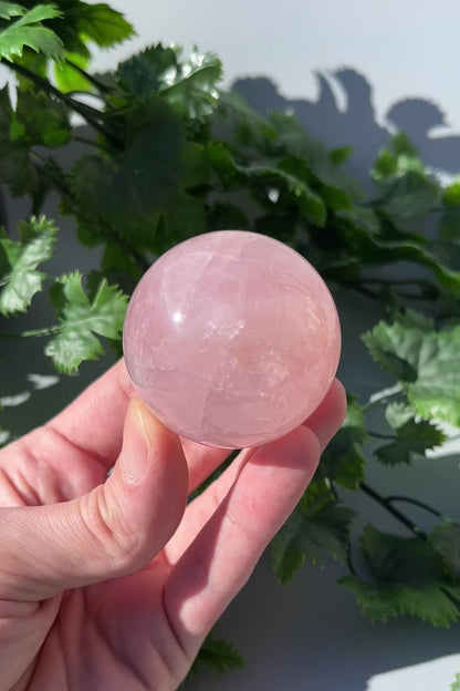 Star Rose Quartz Sphere - Large 48mm